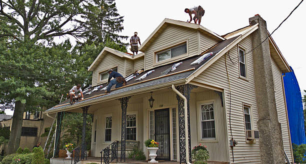 Best Best Roofing Contractors  in Dock Junction, GA